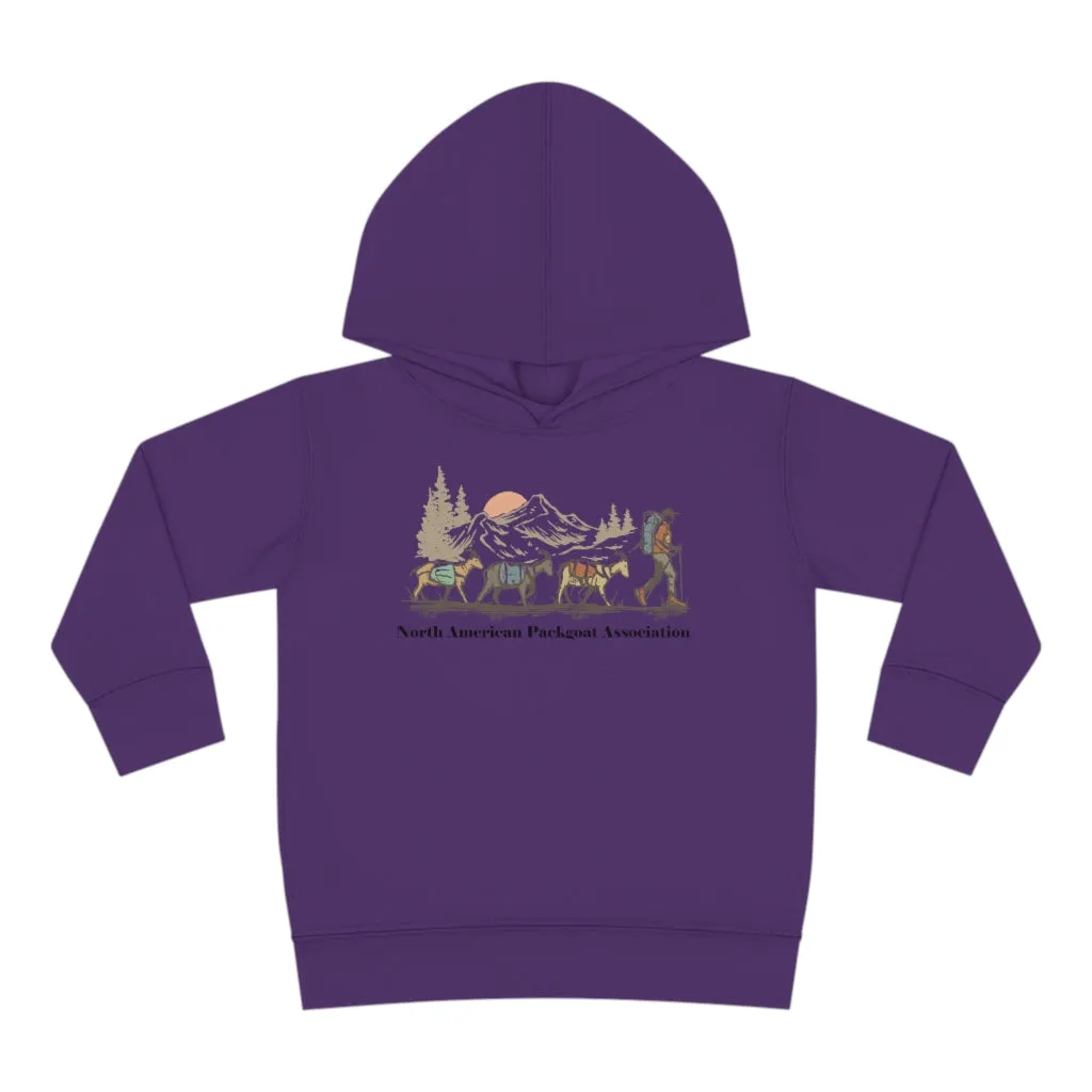 Youth NAPgA Hoodie