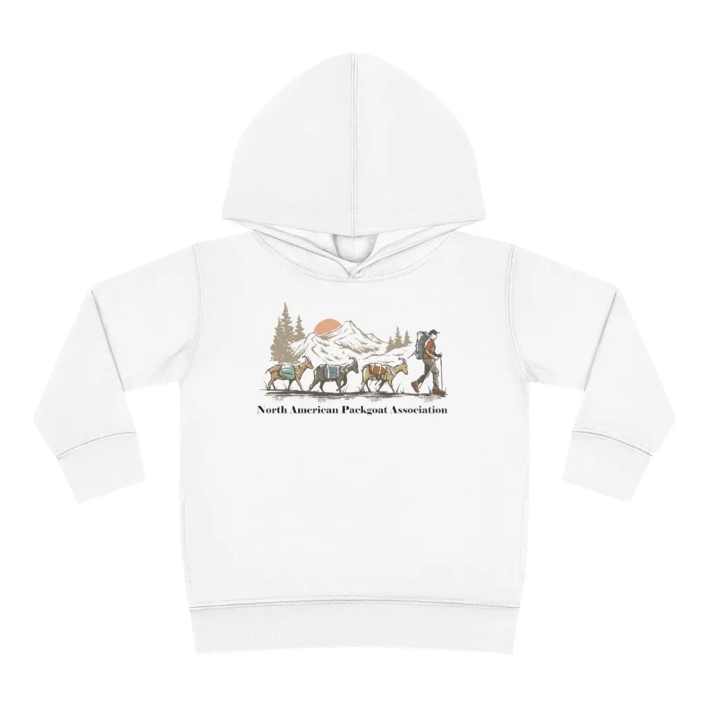 Youth NAPgA Hoodie