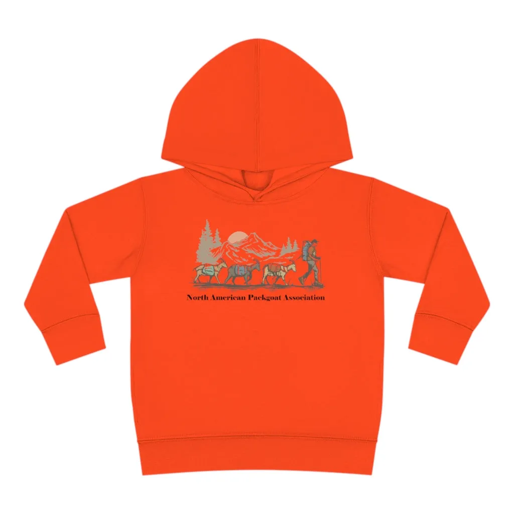 Youth NAPgA Hoodie